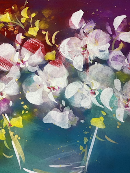 胡蝶蘭とオンシジュウム | 堀井かずえ | 花の絵ファンタジック水彩画